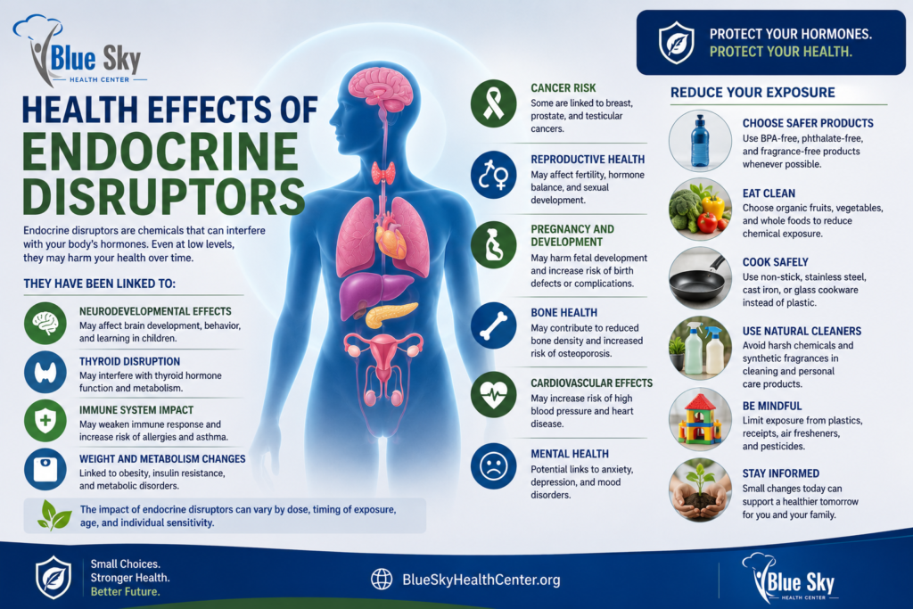 BSHC-Endocrine-disruptors-effects